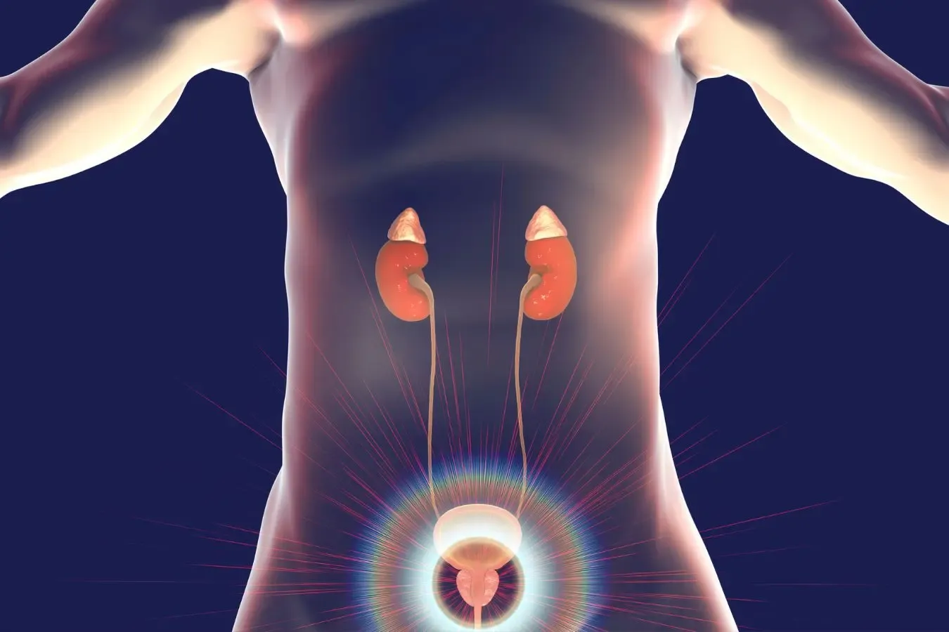 natural remedies for enlarged prostate